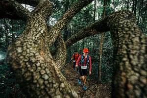 BIB: 
                            <button type="button" onclick="openModal(25393964)" class="btn btn-primary btn-sm float-right btn-popup" data-toggle="modal" data-target=".modal-high-quality">
                        <i class="fas fa-shopping-cart"></i> Add to Cart
                    </button>
                                            <button type="button" onclick="isThisMe(25393964, true)" class="btn btn-success btn-sm float-right btn-popup btn-isme hidden" data-toggle="tooltip" data-placement="bottom" title="นี่คือรูปของคุณใช่ไหม คลิกที่นี่เพื่อเอาเข้าอัลบั้ม">
                        <i class="fas fa-plus"></i> Add to album
                    </button>
                    <button type="button" onclick="isThisMe(25393964, false)" class="btn btn-warning btn-sm float-right btn-popup btn-isnotme hidden">
                        <i class="fas fa-ban"></i> Remove from album
                    </button>